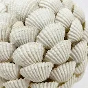 Accessory SY00B[2].webp