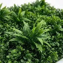 Garden Accessory GRN 104[2].webp