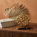 Accessory D6113[2].webp