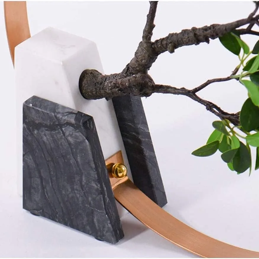 Accessory T58[2].webp