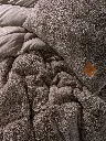 Double Plush Duvet Set Beige[3].webp