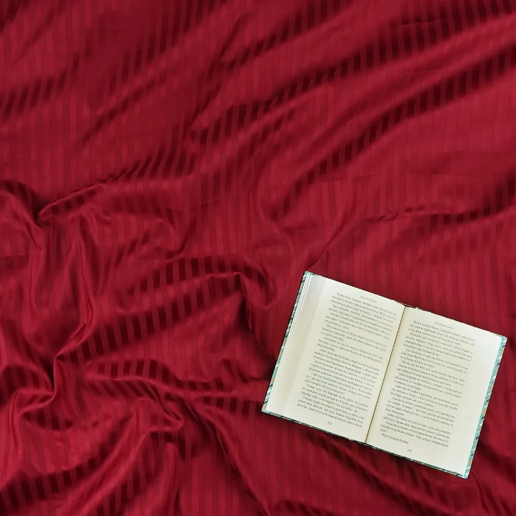 Stripe Satin Double Duvet Cover Set Claret Red[3].webp