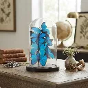 Accessory F79[2].webp