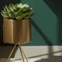 Accessory D85D[3].webp