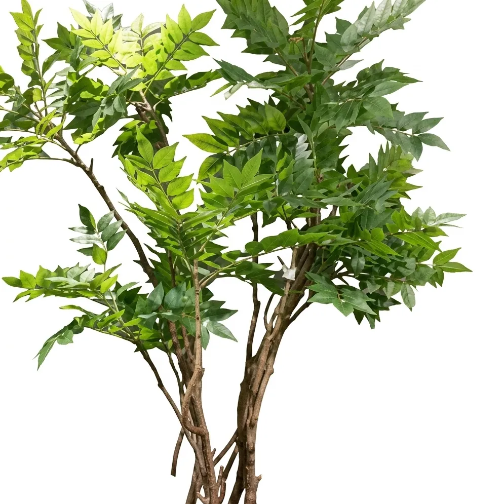 اكسسوارات كول GY-14