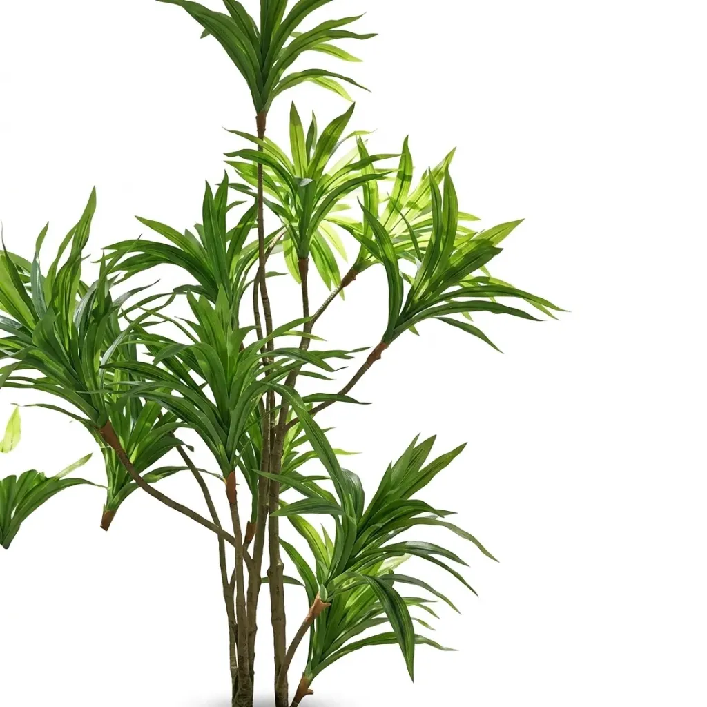اكسسوارات كول GY-24