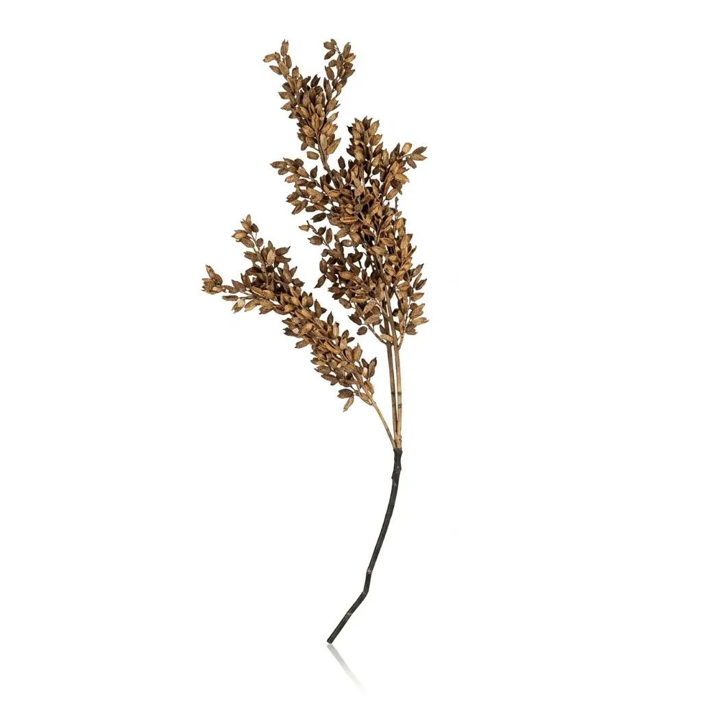 اكسسوارات كول GY-30
