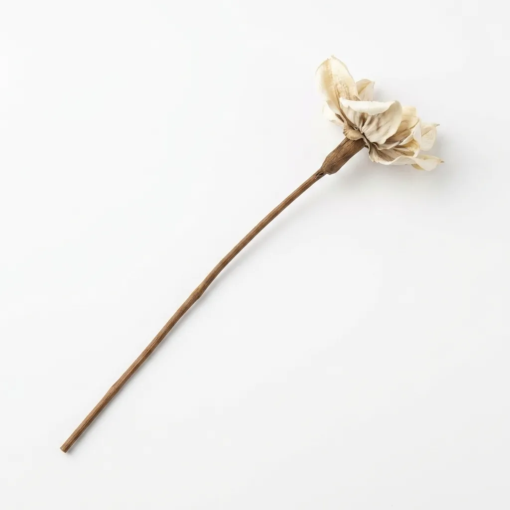 Cool Accessory GY-69