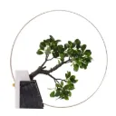 Accessory T58