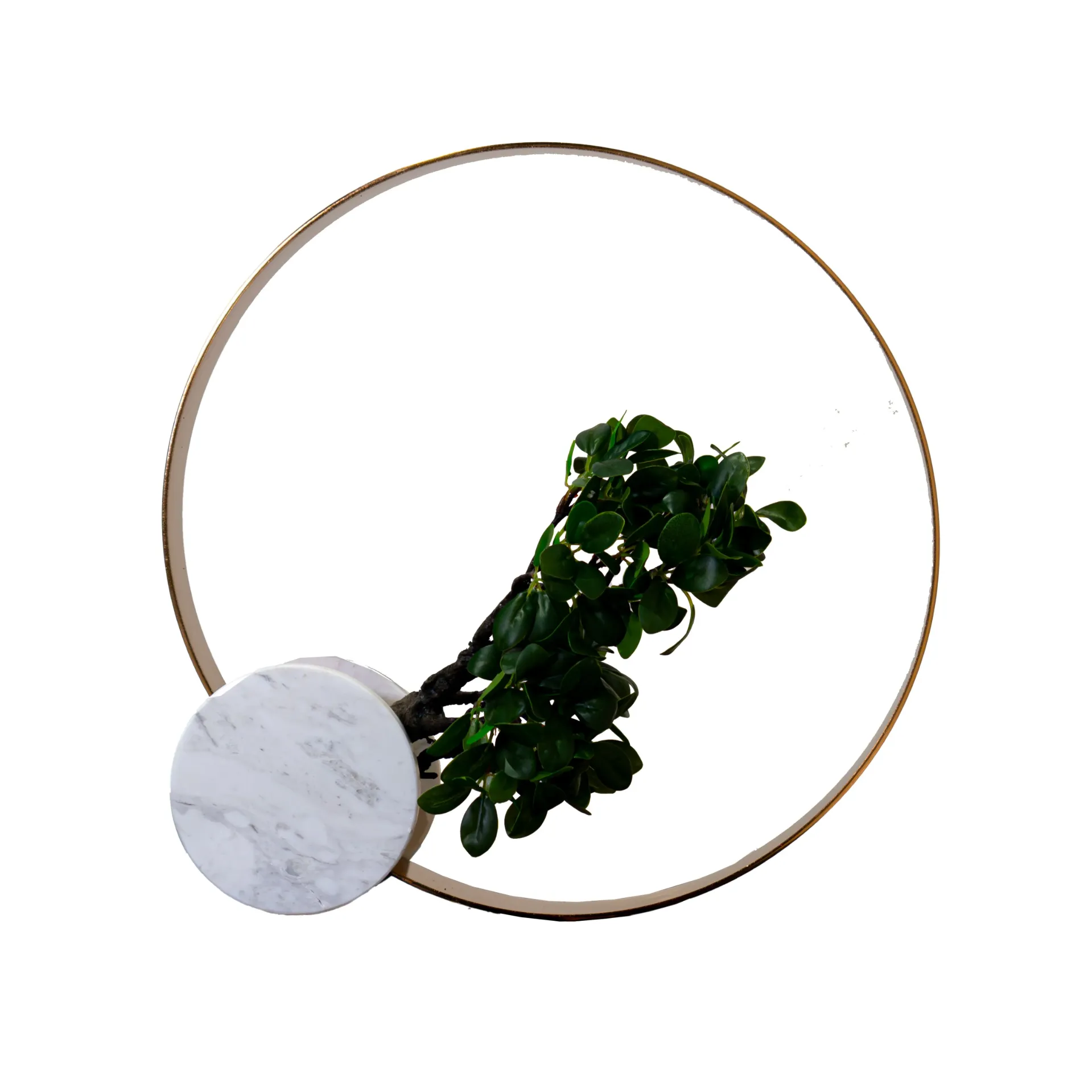 Accessory T59