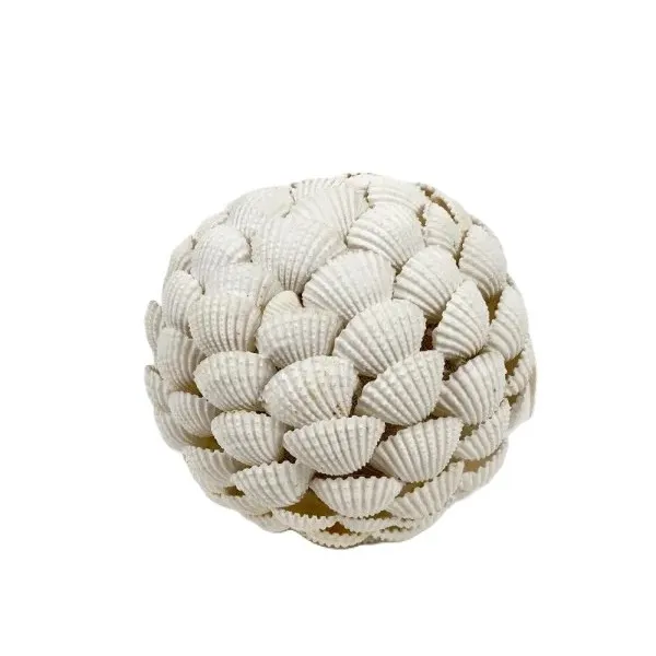 [600020076] Accessory SY00B