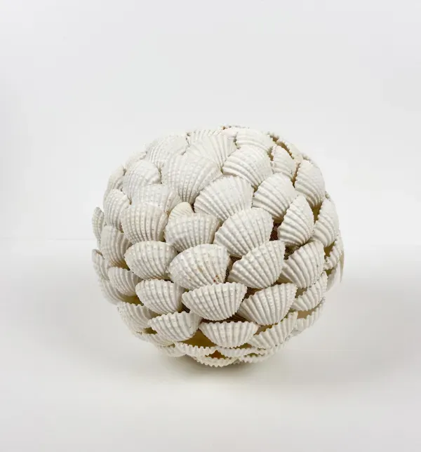 Accessory SY00B